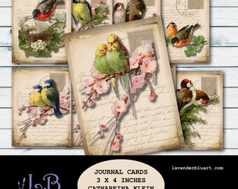 Junk Journal Kit, Journal Cards Birds