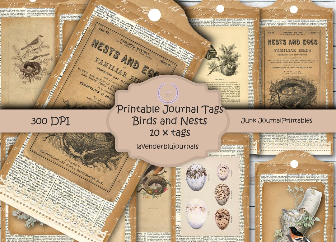 Vintage Birds Junk Journal Tags: Printable Ephemera (digital Kit) - Etsy