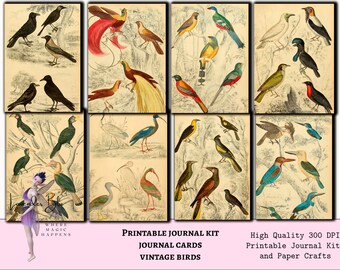 Cartes de journal imprimables avec des oiseaux vintage pour le kit de journal numérique