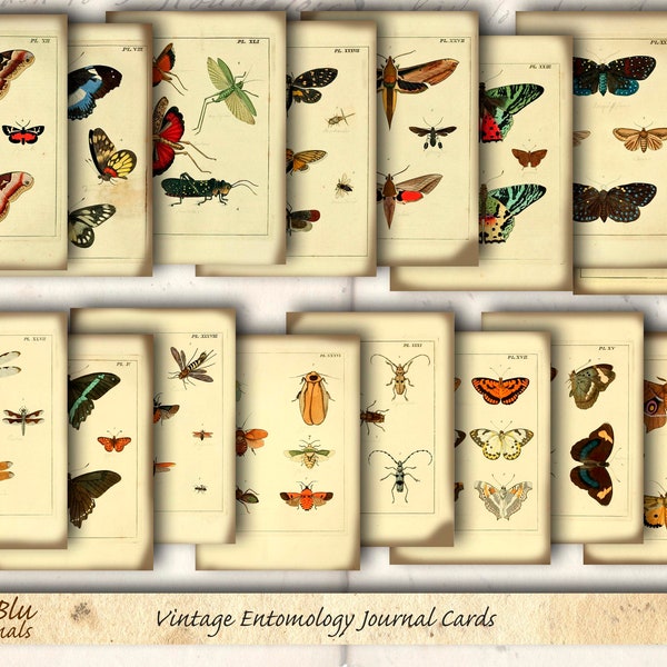 Printable Junk journal Kit. Entomology Journal Cards ATC,
