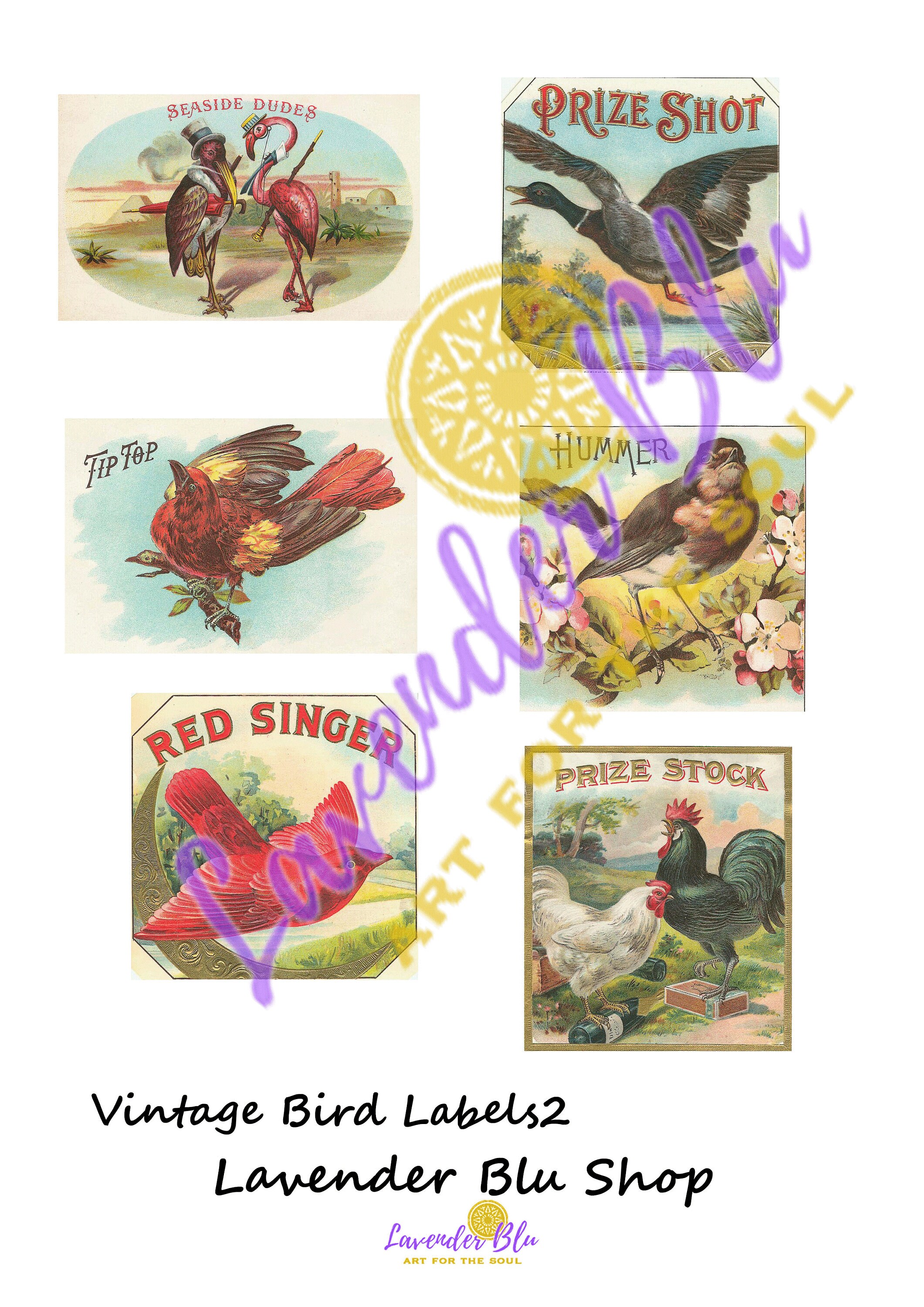 Printable Vintage Bird Labels Journal Cards 45 images | Etsy