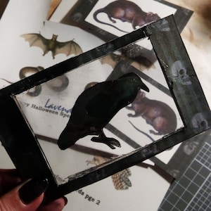 Junk Journal Kit, Faux Specimen Slide, Creepy Halloween