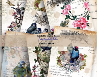 Printable Decorative Paper Spring Birds Digital Paper Vintage A4 Size