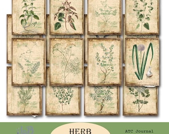 May include: A set of 16 vintage-style botanical illustrations of herbs, perfect for journaling or crafting. Each card features a different herb with a detailed drawing and text.