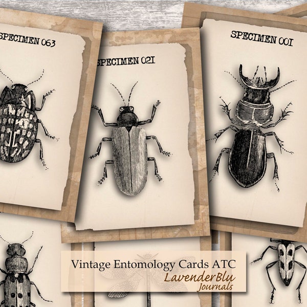 Entomology Ephemera, Journal Cards Digital, Digital Entomology Cards, Junk Journal, Journal Printables