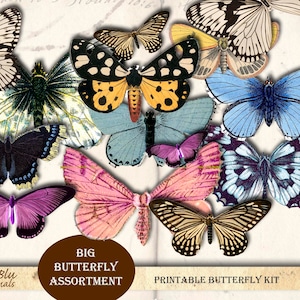 Butterfly Ephemera: Printable Fussy Cuts for Junk Journals (Digital Download)