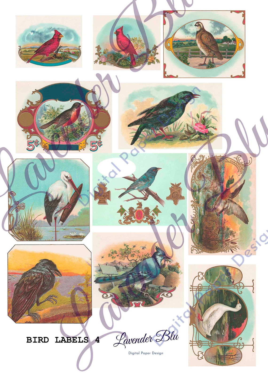 Printable Ephemera Vintage Bird Labels 40 Labels | Etsy