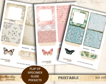 Butterfly Specimen Card for Junk Journal | Printable Ephemera | Butterfly Cards & Decor | Vintage-inspired Craft Supplies