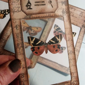 Cartão de espécime de borboleta Junk Journal | Cartão de borboleta vintage para impressão e itens efêmeros para artesanato e scrapbooking