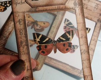 DIY Butterfly Specimen Card Kit with Printable Journal Inserts