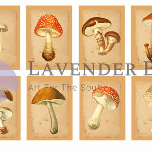 Printable Journal Cards ATC Size Mushrooms