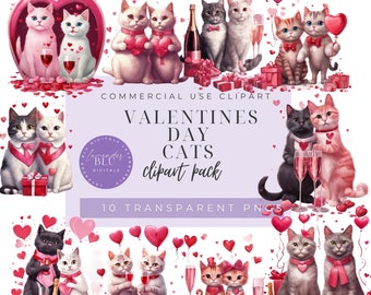 Catful PNG, Valentines Clipart, Kitty PNG, Cute Cat Clipart, Commercial Use Graphics, 10 PNG