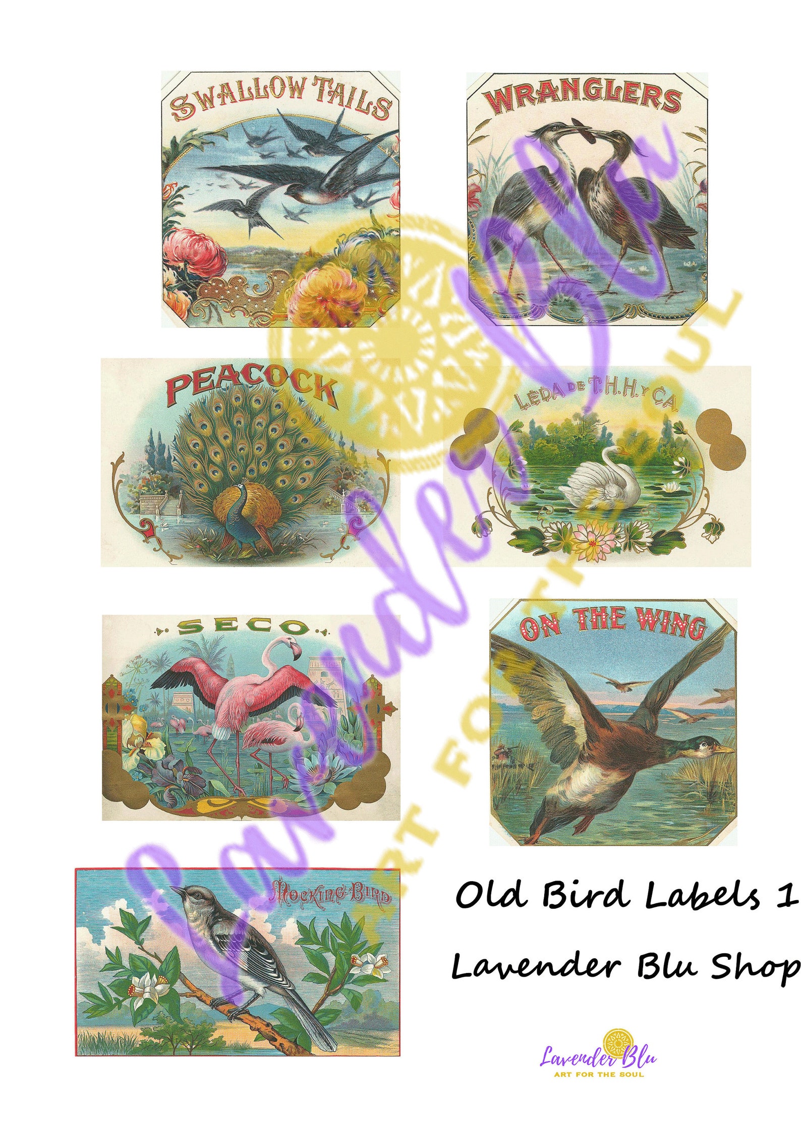 Printable Vintage Bird Labels Journal Cards 45 images | Etsy