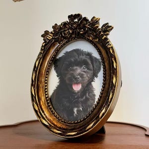 Puede incluir: Marco de fotos ovalado de estilo antiguo con acabado dorado, que presenta un retrato de un perro negro. El marco tiene adornos florales y el texto "Grandma Frame".