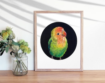 Lovebird Portrait Giclee Art PRINT, 8x10 or 11x14 inches, Bird Art, Colorful Bird, Fiber Art, Needle Felted, Rainbow Bird, Parrot,