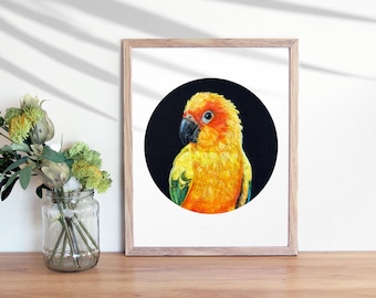 Sun Conure Portrait Giclee Art PRINT, 8x10 or 11x14 inches, Bird Art, Colorful Bird, Fiber Art, Needle Felted, Rainbow Bird, Parrot