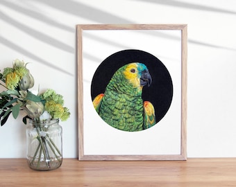 Blue Fronted Amazon Portrait Giclee Art PRINT, 8x10 or 11x14 inches, Bird Art, Colorful Bird, Fiber Art, Needle Felted, Rainbow Bird, Parrot