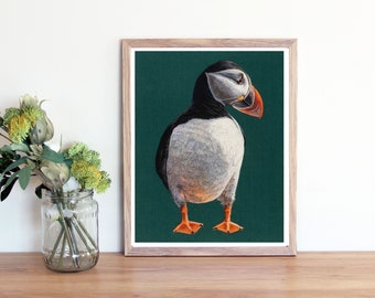 Icelandic Puffin Portrait Giclee Art PRINT, 8x10 or 11x14 or 16 x 20 inches