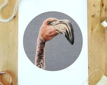 American Flamingo Chick - 8 x 10 Giclee Print