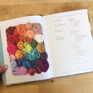 Signed copy of Painting with Wool: 16 Artful Projects to Needle Felt image 3