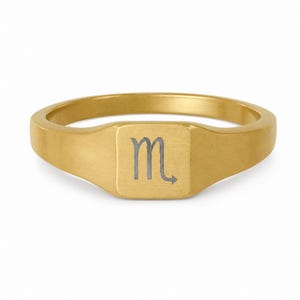 Scorpio Ring, Constellation Ring, Small Signet Ring