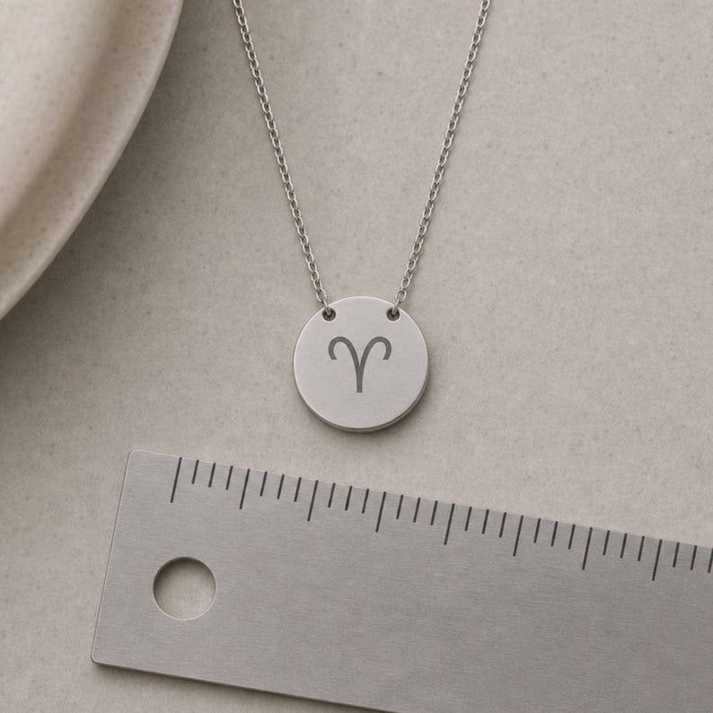 Aries Ram Necklace, Aries Sign Necklace, Aries Charm Necklace, Zodiac Coin Necklace Stainless Steel (No coating)