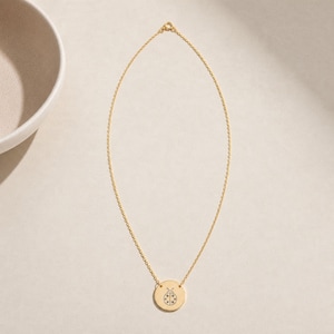Ladybug Necklace, Dainty Engraved Ladybug Coin Pendant, Good Luck Charm, Minimalist Nature Gift for Her 18K Gold PVD coating