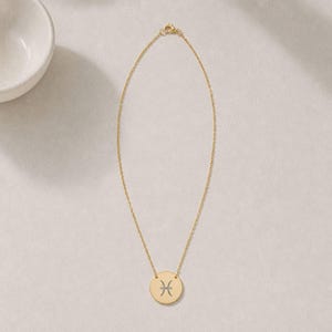 Pisces Zodiac Jewelry, Pisces Symbol Necklace, Pisces Coin Pendant, Pisces Coin Necklace image 5