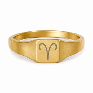 Aries Signet Ring, Aries Ring, Zodiac Signet Ring, Square Signet Ring