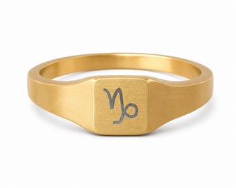 Capricorn Signet Ring, Capricorn Ring, Zodiac Signet Ring, Square Signet Ring