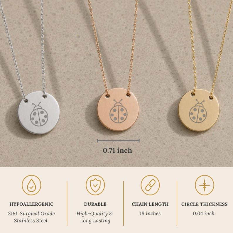 Ladybug Necklace, Dainty Engraved Ladybug Coin Pendant, Good Luck Charm, Minimalist Nature Gift for Her image 8