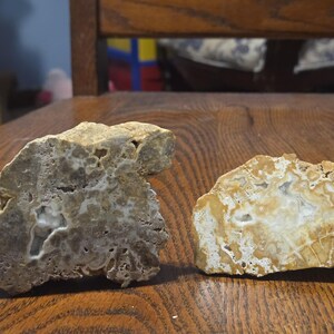 May include: Two irregularly shaped rocks with a mix of beige, gray, and white colors. The rocks have a porous texture and are displayed on a wooden surface. The rocks appear to be natural stone specimens.