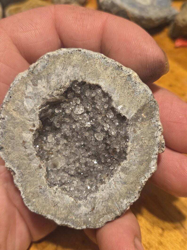 Las Choyas Geode Specimen Cut Half Druzy Quartz 5.7oz. - Etsy