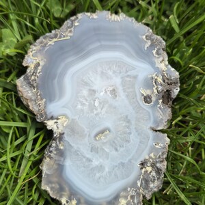 May include: A polished agate slice with concentric bands of gray and white. The natural stone has a rough, dark brown and tan edge, and is set against a backdrop of green grass. The agate's center features a crystalline pattern.