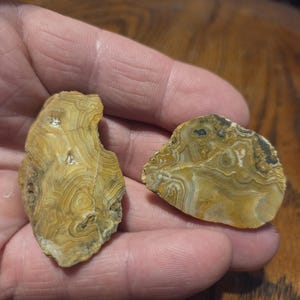 May include: Two polished agate stones with concentric banding patterns in shades of tan, brown, and cream. The stones have irregular shapes and are displayed against a wooden surface.