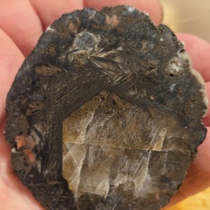 May include: A circular, polished mineral slice featuring a dark, charcoal-colored outer ring with visible fibrous, needle-like inclusions. The center contains a translucent, amber-toned geometric core with distinct crystalline fractures and patterns.