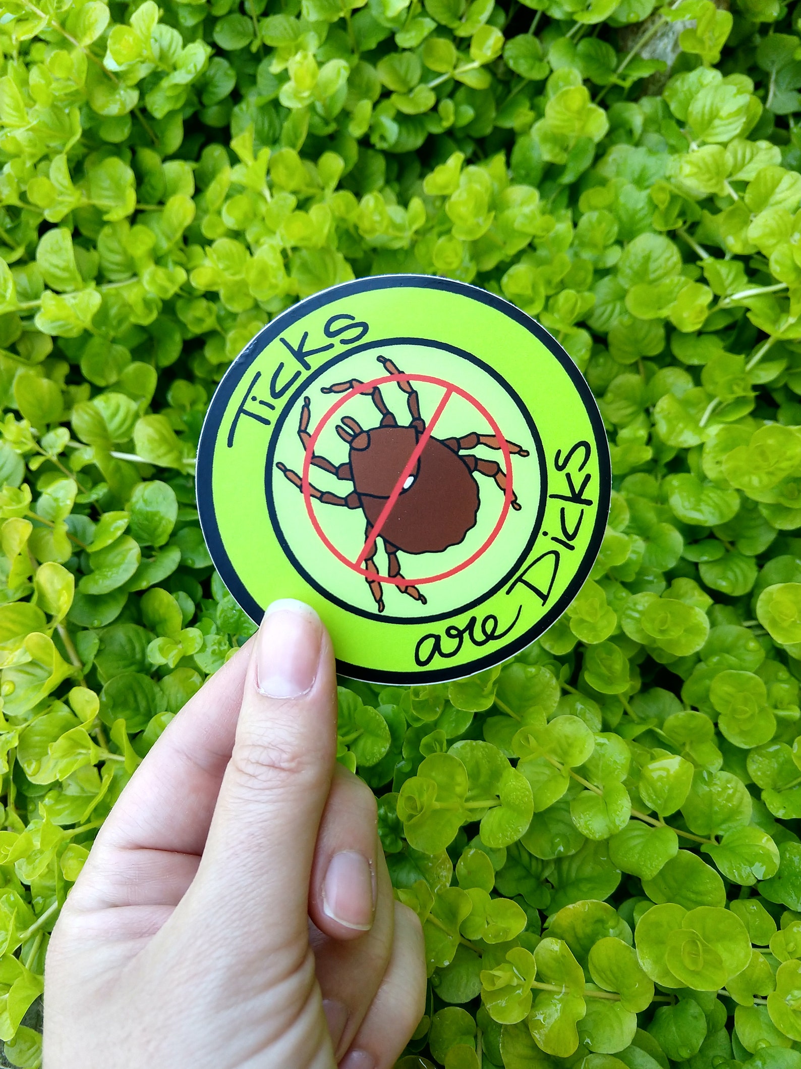 Tick Sticker, Sticker, Ticks Are Dicks, Bumper Sticker, Car Sticker ...