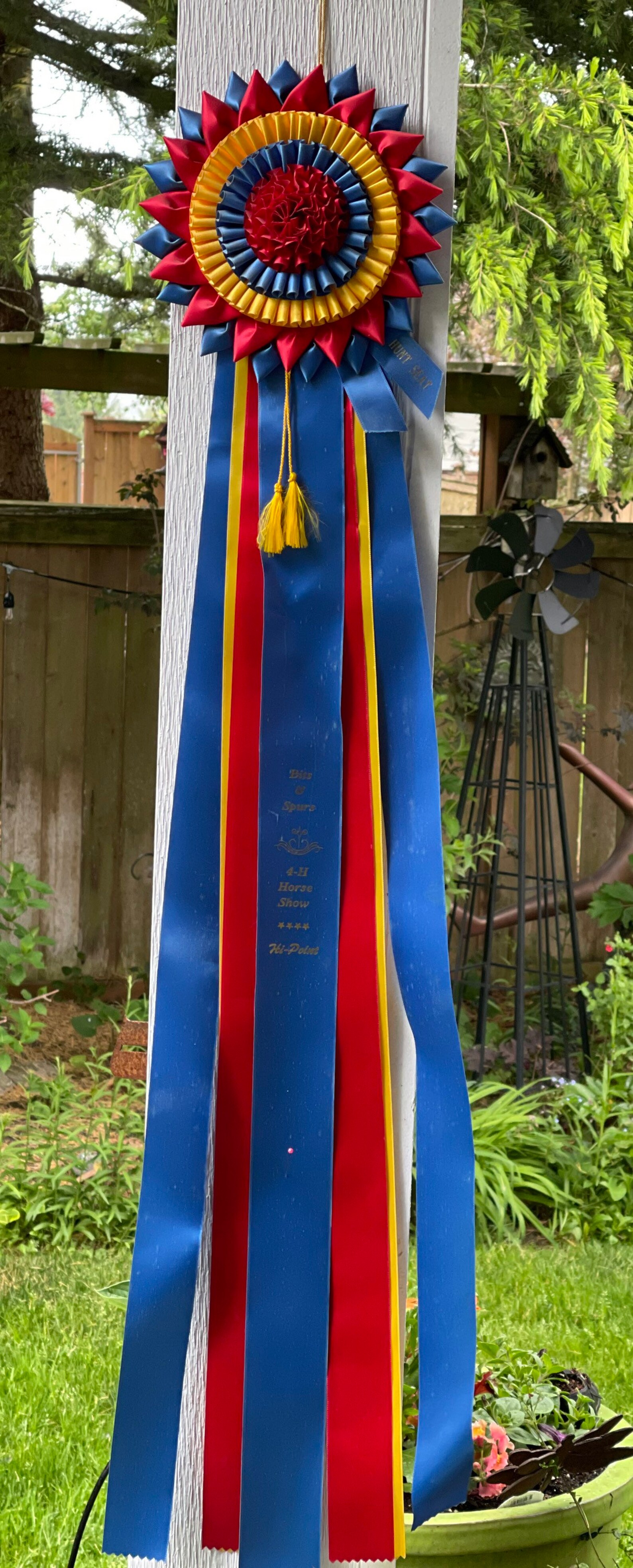 Vintage Horse Show Ribbon Ribbons with Rosettes 1990s Etsy