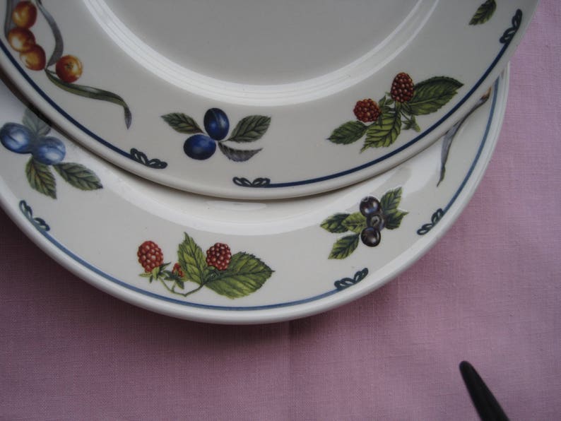 4 Oneida Classic Salad ~ Dessert Plate 9 inch Plates One set of 4 Plates Fruit Motif Berry Harvest