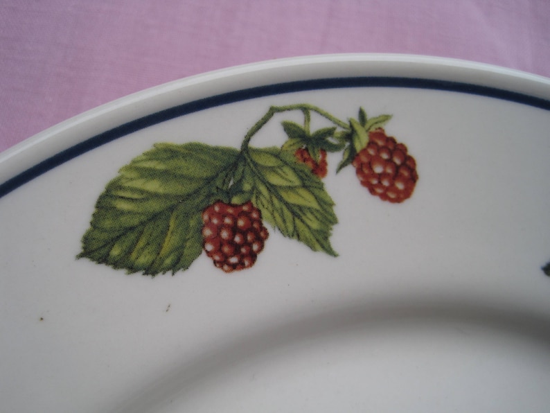 4 Oneida Classic Salad ~ Dessert Plate 9 inch Plates One set of 4 Plates Fruit Motif Berry Harvest