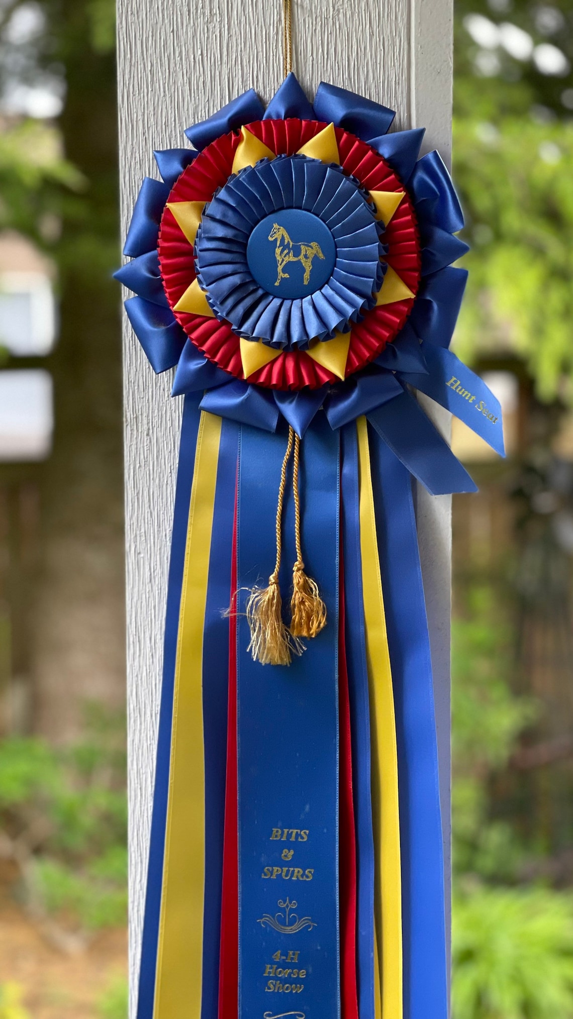 Vintage Horse Show Ribbon Ribbons with Rosettes 1990s Etsy