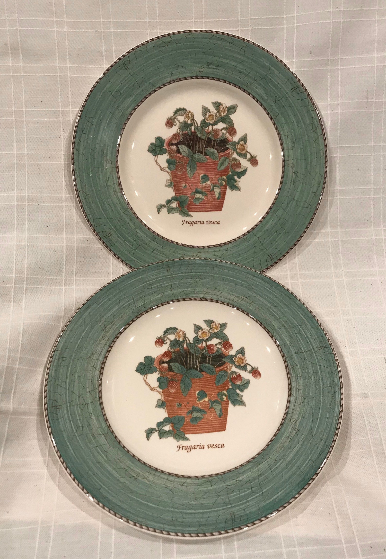 Wedgwood China Queen's Ware Sarah's Garden Plate Etsy