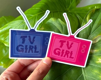 TV Girl Blue and Pink Who Really Cares Sticker
