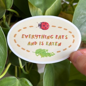 May include: An oval sticker with the text "EVERYTHING EATS AND IS EATEN" in orange and green. A red ladybug and a green leaf are also on the sticker. The sticker is surrounded by a dotted line and is set against a background of green leaves.
