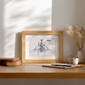 Peut inclure: Illustration encadrée d'un insecte dans un cadre en bois clair. L'œuvre présente un dessin détaillé à la plume et à l'encre d'un scarabée aux ailes déployées. Le texte de l'image est en japonais. Le cadre repose sur une surface en bois.