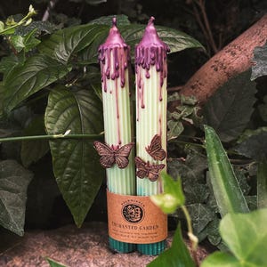 Könnte beinhalten: Zwei grüne und violette Kerzen mit Schmetterlingsakzenten. Die Kerzen haben ein Design aus tropfendem Wachs und sind mit bronzefarbenen Schmetterlingsverzierungen verziert. Ein braunes Etikett mit dem Text "Enchanted Garden" ist um die Basis der Kerzen gewickelt.