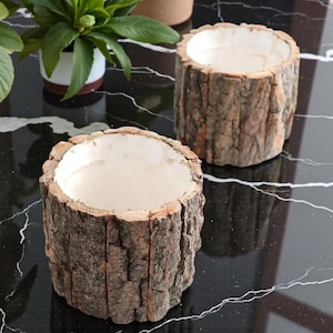 May include: Two rustic, cylindrical planters made from tree bark. The planters have a light-colored interior and are set on a black, marble-like surface. One planter is in the foreground, and the other is in the background. A small potted plant is visible in the background.