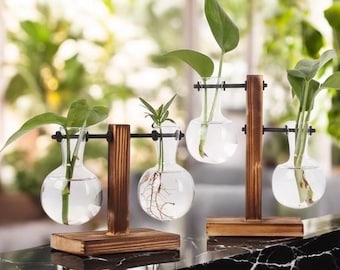 Handgefertigte Pflanzenvermehrungsstation & hydroponische Bonsai-Vase, Holzrahmen für Stecklinge, Zimmerpflanzen-Starterkit, modernes Schreibtischgeschenk