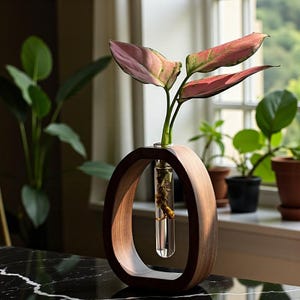 Walnut Wood Flower Stand with Glass Vase – Minimalist Hydroponic Plant Holder for Tabletop Decor in Home, Office or Modern Interior Spaces