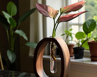 Soporte para flores de madera de nogal con jarrón de cristal: soporte minimalista para plantas hidropónicas para decoración de mesa en el hogar, la oficina o espacios interiores modernos.